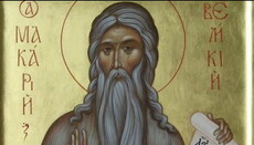 1 февраля – память преподобного Макария Великого, Египетского