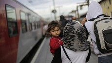 В Германии за 2017 год совершено 950 нападений на мусульман и мечети
