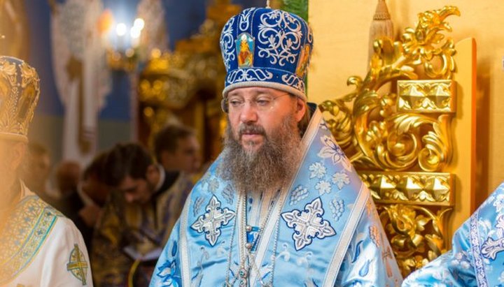 Рождество Богородицы учит нас верить в промысел Божий, – митрополит Антоний