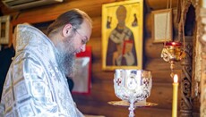 Идея «восточного папы» – неприемлема для Церкви, – митрополит Антоний