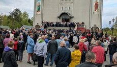 Lawyer about "transfers" by OCU: Regional tsars are too crowned