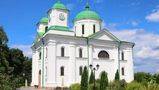 В Черкасской области хотят отобрать у УПЦ собор XII века