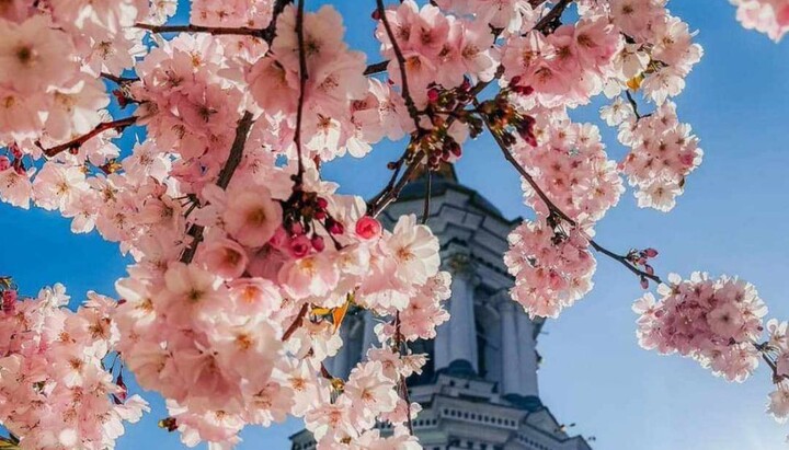 Lavra is the heart of Ukraine: The Net features blossoming monastery