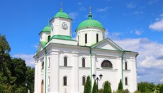 У Каневі земельну ділянку під Успенським собором УПЦ передали державі