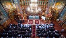 УПЦ після Собору слідує шляхом канонічної незалежності, – ректор КДА