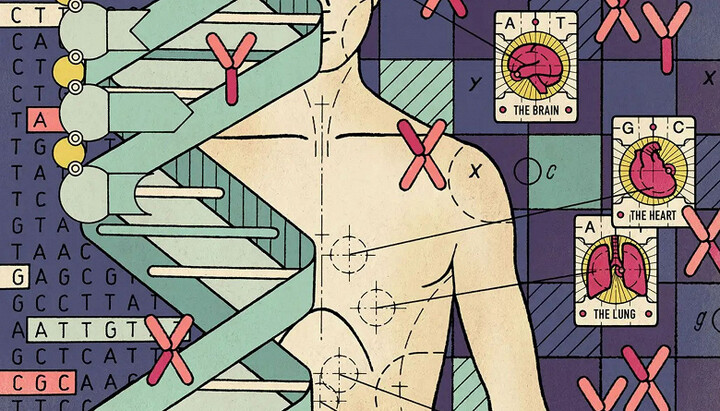 Genetic “optimization” of embryos launched in the U.S.