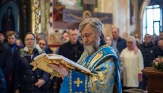 Новинский: УПЦ мешает власти проводить ее антинародную политику