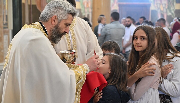 О. Слободан Зенкович. Фото: СПЖ в Сербії