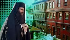 «Апеляція» митрополита Тихіка і Патріарший Синод