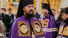 Синод РПЦ «почислил на покой» викария Киевской митрополии УПЦ