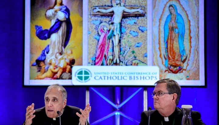The annual conference of Catholic bishops of the USA. Photo: BRENDAN SMIALOWSKI/AFP via Getty Images