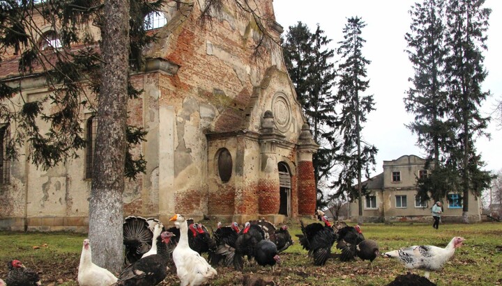 Geese are grazing near the destroyed church in the Ternopil region. Photo: "Ukraine Incognito"