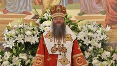 Митрополит Лонгин: Властям нужны наши храмы для танцев и концертов?