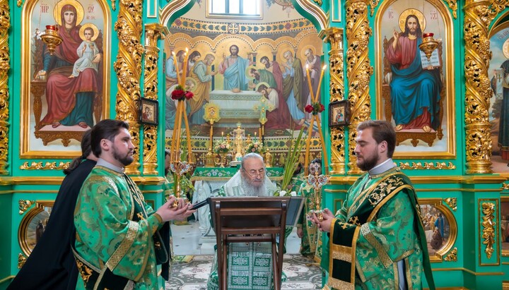 Митрополит Онуфрій на Троїцькій службі. Фото: прес-служба УПЦ