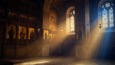 Shelter beneath the vaults: how church twilight heals us
