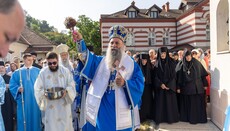 Патріарх Сербії: Богородиця вчить нас повністю довіряти волі Божій