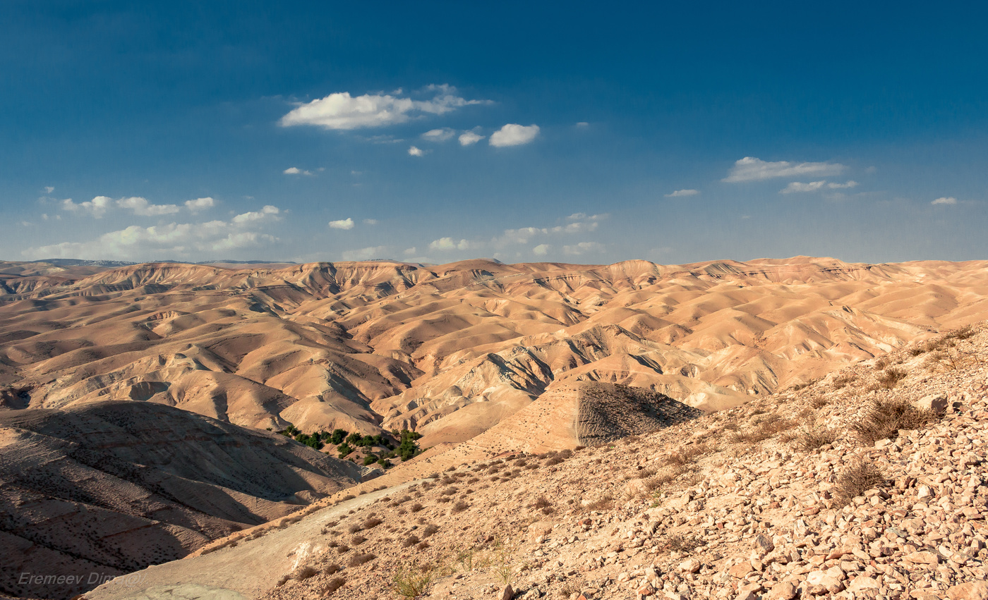 Panorama of the Judean Desert