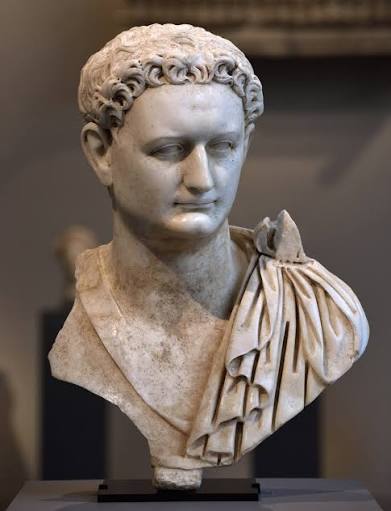 Bust of Emperor Domitian. Source: Wikipedia